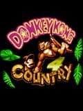 Donkey Kong Country